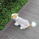 여름강아지옷 허리배색 민소매 Tikdog (틱독) : TikDog