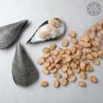 국내유일 건관자 건조 키조개 관자 육포 B품 100g : 황가네명품키조개