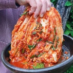 [어사김치] 국산 전라도식 배추 김장 포기김치 : 어사김치