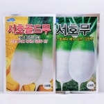 서호 골드무 김장 가을 동치미 가정 텃밭 주말농장 씨앗 종자 : 씨앗공장