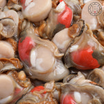 서해안 자연산 키조개 관자 냉동 500g : 황가네명품키조개