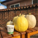 국수호박 3kg 5kg : 품안 농장