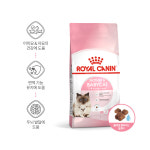 로얄캐닌 고양이사료 마더 앤 베이비캣 1.2kg 아기 고양이 키튼사료 : 로얄캐닌 온라인스토어