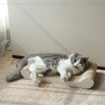 가또나인 빅소파 머디 고양이 스크래쳐 : GATO