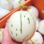 함안 메론 백자메론 백자멜론 4kg 8kg : 위씨네장모님