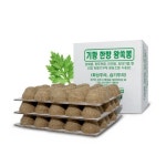 기황산업 한방 왕쑥봉 100개입 쑥봉 : 두손메디칼