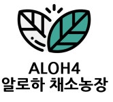 유럽샐러드, 유럽채소,버터헤드,로메인,쌈채소,샐러드채소.친환경 1kg,샐러드 1kg : ALOH4 채소농장