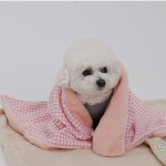 레드퍼피/폴라리 블랭킷 담요(소형) : REDPUPPY