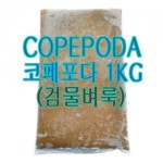 수족관 어항 물고기 사료 먹이 냉동 코페포타 1kg : 핫딜아이템