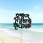 폴라로이드 제주 태교 여행 아기 신혼 가족 우정 만삭촬영소품 주문제작 케이크 토퍼 세트 : 플러블리토퍼