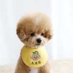 카민프로젝트 스마일베베 커스텀 강아지스카프 이니셜자수 이름표 케이프 소형견 중형견 대형견 : PICKYSHOP 피키샵