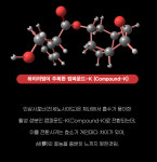 하이리빙 진홍삼씨케이(30포) - 흡수율UP 특이사포닌 면역강화 : 하이리빙통합마트