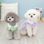 도그웨그 플라워 카라 원피스 강아지 여름 옷 고양이 드레스 프릴 강아지옷 : 도그웨그