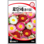 로단세(종이꽃) 씨앗 / 일년생 씨앗  로단세(종이꽃)키우기 꽃씨 키우기 씨앗심기 : 팜가든랜드
