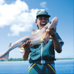 세모스쿠알렌 10g 36캡슐 4곽 : 세모시즌