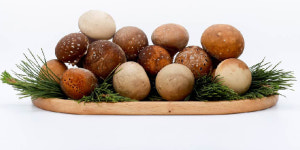 고산참송이버섯 1kg (중) : 완주로컬푸드 건강한밥상