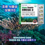 네이처랜드 조류 식물성 오메가3 [634mgx60캡슐] : 조이앤영