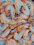 남당항푸른바다 회로먹는 국내산 활새우1kg(28미 내외) 흰다리새우 / 대하축제 : 남당항 푸른바다