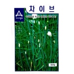 허브씨앗 차이브·커몬챠이브즈(400립) 꽃씨앗 종자 허브키우기 마당 텃밭 가꾸기 : 7 Gardeners