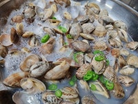 연안 바지락 1kg : 수산물 가격 파괴