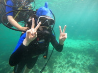 제주도 함덕 공항근처 스쿠버다이빙 스킨스쿠버 : 언더워터플레이