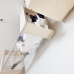 고양이 캣워커 하늘 투명 사각 터널 80cm : 플레이캣