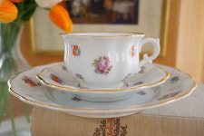 퓌어스텐베르그 1992 데미잔 잔트리오 : 리안의 독일 이야기