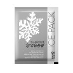 아이스팩 9x8.5cm 250개 미니 부직포 친환경 완제품 물100% : 영진종합유통
