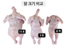 국내산 생닭 육계9호 육계14호 (2마리 묶음) 여름철 보양식 삼계탕 백숙 닭볶음탕 오케이정육 : 오케이정육점
