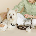 풉백파우치 푸푸백 똥츄가방 : 피터페트 Pit-A-Pet