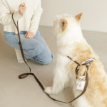 풉백파우치 푸푸백 똥츄가방 : 피터페트 Pit-A-Pet