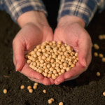 국내산 진한 크림콩물 까망콩물 백태콩물 서리태콩물 450ml : 열정농부