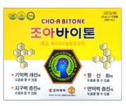 조아제약 조아바이톤 20ml x 30앰플 : 홀리데이브리즈