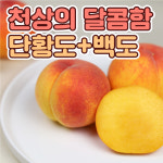 [20년농사꾼직송] 황도 백도 딱딱 말랑 산지직송 복숭아 2kg 4kg : 진언상회