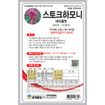 스토크하모니 바이올렛 30립 씨앗 / 일년생 스토크하모니키우기 꽃씨 키우기 씨앗심기 : 팜가든랜드