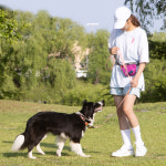 벤트라 강아지 산책목줄 릴레이 목줄 S : 벤트라