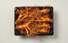 세척 난발 수삼 (소) 500g : 경동시장인삼협동조합