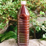 살구효소, 꾸지뽕 효소, 매실 효소 : 가은농장