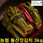 전라도 돌산 갓김치 3kg 맛있는 김치 : 리도스샐러드