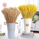 라탄환심 라탄재료 50pcs 진짜 밀 자연 말린 꽃 웨딩 파티 장식 공예 스크랩북 diy 홈 장식 밀 꽃다발 사진 소품 : 파파스글로벌