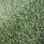 수지매트 조경용 인조잔디 35mm 200x50 베란다 정원 : 수지매트