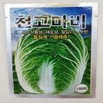 천고마비 배추 1000립 김장배추씨앗 가을배추 : 모두다팜 농자재