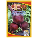 메를린 비트 씨앗 3g 당도 높은 교배종 비트 종자 : 열매팜스토어
