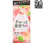 엘비 과일 식초 피치 믹스 비네거 음료 200ml 24개 : DOUBLEMODE