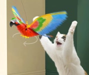 날아다니는 새 고양이 강아지 혼자서 놀기 애완동물 자동 장난감 독수리 앵무새 집사 선물 : 와치디스