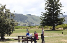 호주 멜버른 그레이트 오션로드 & 런던 브릿지 일일투어 (한국어 가이드) : 뜨거운청춘