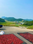 전라남도 진도 2024 해풍 햇고춧가루 산지직송 생산자직배송 : 진도 땀붓재농장
