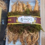 풍기인삼(11-13편)삼계탕 : 이순남홍삼