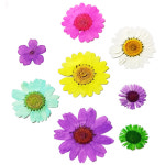 압화 레진공예 꽃 종합팩 HR 꽃편지 책갈피 : 화미에듀