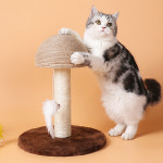 가또나인 고양이 퍼니 버섯 스크래쳐 장난감 : GATO